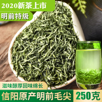 2020新茶头采春茶明前特级信阳毛尖绿茶AAA嫩芽手工散装250g