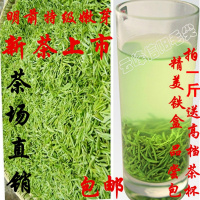信阳毛尖2020年新茶 绿茶特级明前大山嫩芽自产手工炒制500g