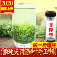 信阳毛尖2020新茶 雨前高山绿茶浓香春茶叶茶农自产自销散装500g