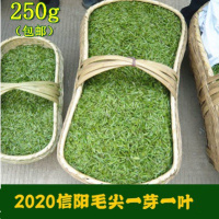 信阳毛尖2020新茶明前嫩芽高山茶叶绿茶自产自销春茶250g