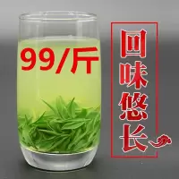 毛尖绿茶2020年新茶信阳毛尖雨前春茶茶叶500g自产自销散装手工茶