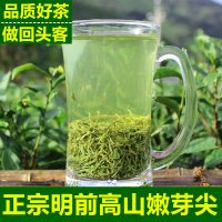 信阳毛尖2020新茶明前一芽两叶嫩芽高山浓香绿茶手工散装春茶500g