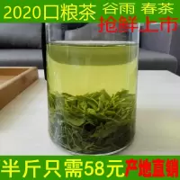 信阳毛尖新茶叶 雨前春茶散装绿茶浓香 农家自产自销250g光山茶叶