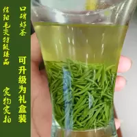 2020新茶信阳毛尖高端明前特级嫩芽散装100g野生高山绿茶自产自销