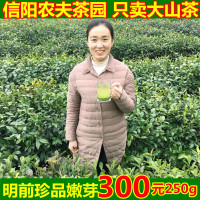 毛尖绿茶2020新茶信阳毛尖散装茶叶明前春茶特级嫩芽250g自产自销