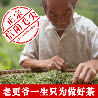 信阳毛尖2020新茶散装手工炒青绿茶250g