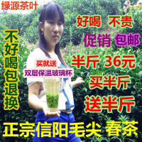 信阳毛尖2020新茶毛尖茶叶高山绿茶春茶浓香型散装共500g自产自销