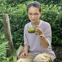 毛尖茶叶2019新茶信阳毛尖高山云雾绿茶散装春茶浓香型口粮茶500g