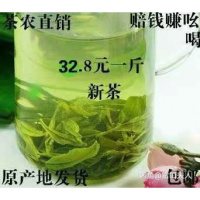 信阳毛尖2020 春茶新茶500g茶叶绿茶清爽柔和散装食用农产品