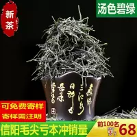 2020年新茶高山云雾绿茶信阳毛尖茶叶春茶雨前嫩芽散装浓香型250g