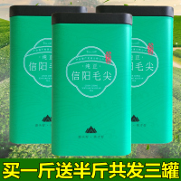 买一斤送半斤信阳毛尖绿茶2020新茶散装毛尖茶叶春茶共750g