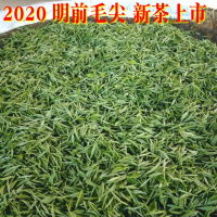 2020明前湄潭毛尖绿茶 贵州高山农家生态茶 都匀毛尖散装直销250g