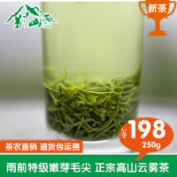 信阳毛尖绿茶雨前2020新茶高山手工茶茶农直销原产地发货散装250g
