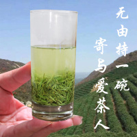 毛尖茶叶绿茶正宗信阳毛尖2020新茶雨前特级高山茶浓香型毛尖250g