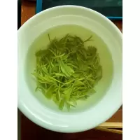 雨前信阳毛尖新茶口粮茶一芽一叶高山绿茶浓香耐泡茶农袋装500g