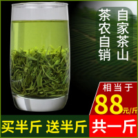 豫茗坊信阳毛尖2020新茶散装茶叶绿茶雨前浓香型茶农自销共500g