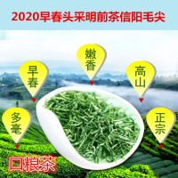 2020新茶新县信阳毛尖大别山绿茶高山茶雨前茶浓香口粮茶100g
