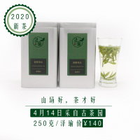 老茶树古茶园2020年新茶信阳毛尖绿茶250克