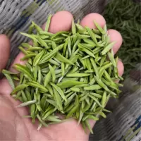 茶叶信阳毛尖2020新茶特级嫩芽明前高山绿茶清香型茶100g纯手工茶