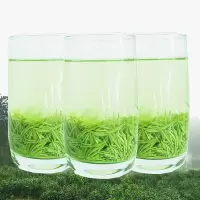 信阳毛尖2020新茶叶明前特级嫩芽250g春茶绿茶产地茶农自产自销