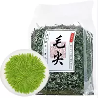 早春头采绿茶信阳银丝茶毛尖绿茶春尖茶叶浓香毛峰茶罐装50克试喝