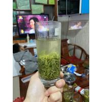 信阳毛尖新茶一芽一叶口粮茶耐泡型绿茶250g