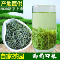 2020精品雨前茶绿茶茶叶浓香散装250g信阳毛尖茶农直销