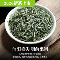 2020新茶上市信阳毛尖特级明前高山毛尖绿茶嫩芽手工炒制250g