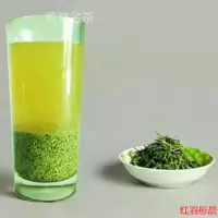 2020新货 绿茶信阳毛尖茶沫茶末新茶年雨前特级散装茶碎袋装