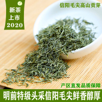 信阳毛尖2020新茶上市毛尖茶明前特级板栗浓香绿茶自产自销250g