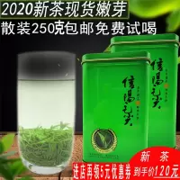 信阳毛尖2020新茶叶 散装250g袋装绿茶 茶叶明前特级嫩芽浓香型
