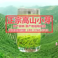 信阳毛尖茶2020新茶叶明前特级嫩芽毛尖绿茶春茶散装自产自销250g