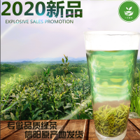 毛尖茶叶信阳直销明前绿茶2020新茶特级500g清香全芽尖针形礼盒装