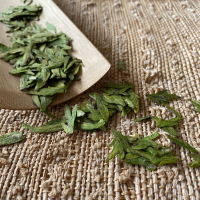 2020新茶明前龙井茶叶特级绿茶高山龙井头采全嫩芽春茶散装50g