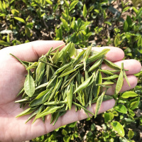 茶农直销2020新茶龙井茶浓香型雨前特级高山龙井茶叶250g绿茶春茶