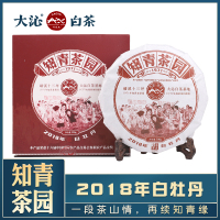 大沁福鼎白茶 2018十三坪知青白牡丹茶饼 明前新茶300g高山茶