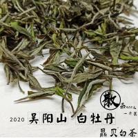2020福鼎白茶白牡丹吴阳山白牡丹500克一斤装鼎贝新茶叶鼎贝白茶