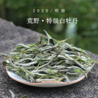 2020新茶福鼎荒野白牡丹白茶散茶明前特级野生大白毫茶管阳高山茶