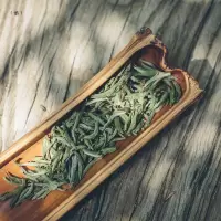 雅债白茶 34号2020奶奶家的传统工艺政和荒野米芽50克茶叶