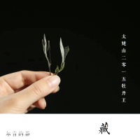 尔音的老白茶5号—2015年非遗茶师曾兴手作牡丹王乙未[藏]50克