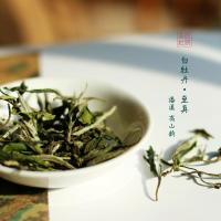 2020福鼎白茶磻溪高山白牡丹一级茶叶一斤500g装后院茶社至真