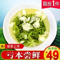 [试喝推广]浓香型茉莉花茶2020新茶特级散装横县花茶绿茶叶半斤