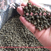 2020新茶茉莉龙珠花茶特级浓香型 茉莉花茶叶白牡丹绣球 雪毫散装