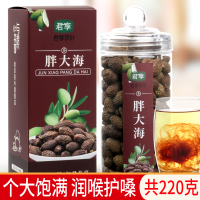 胖大海茶220g罐装正品非特级清肺搭金银花菊花茶散装泡水