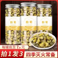 3罐装 菊花茶正宗桐乡胎菊王特级杭白菊贡菊配金银花清火花茶