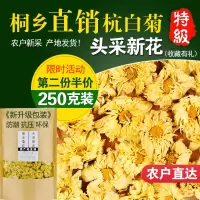 菊花茶 正宗杭白菊 桐乡原产特级菊花茶朵花 散装白菊花250g茶叶