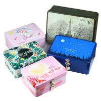 钱箱证件储物盒小收纳整理密码收纳盒带锁化妆铁盒小盒子铁盒桌面