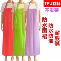 彩围裙tpu环保围腰防水防污防油不发硬耐低温食品围裙耐酸碱围裙