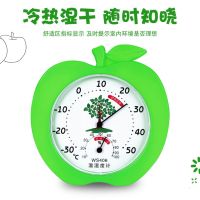 温度表湿度计婴儿房精准高精度壁挂欧式干湿度计家用温度计室内|绿色苹果温湿度计