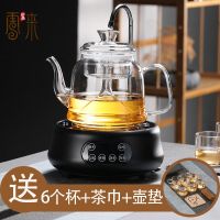 玻璃煮茶壶蒸汽喷淋式煮茶器家用全自动电陶炉煮白茶安化黑茶专用